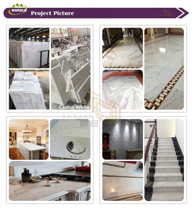 castro white projects +logo 01.jpg